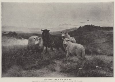 Mouton perdu - Henry William Banks Davis